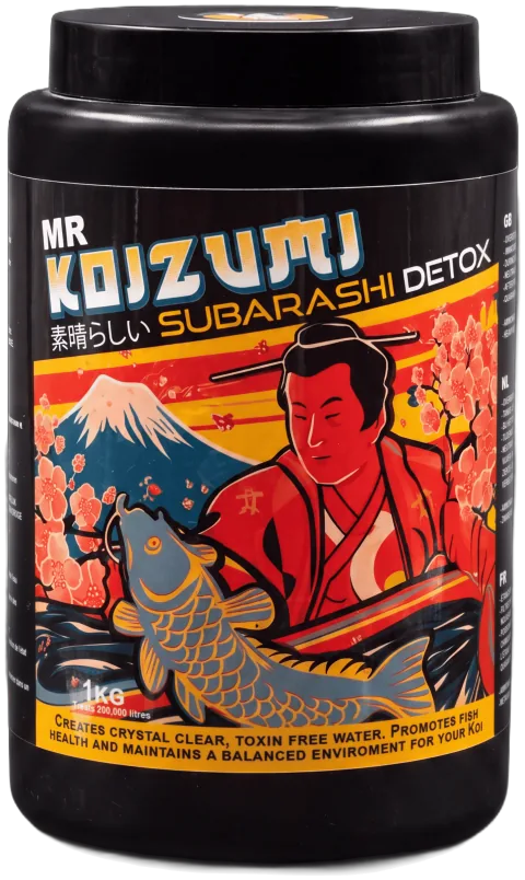 Mr Koizumi Subarashi Detox — pot de 1 kg
